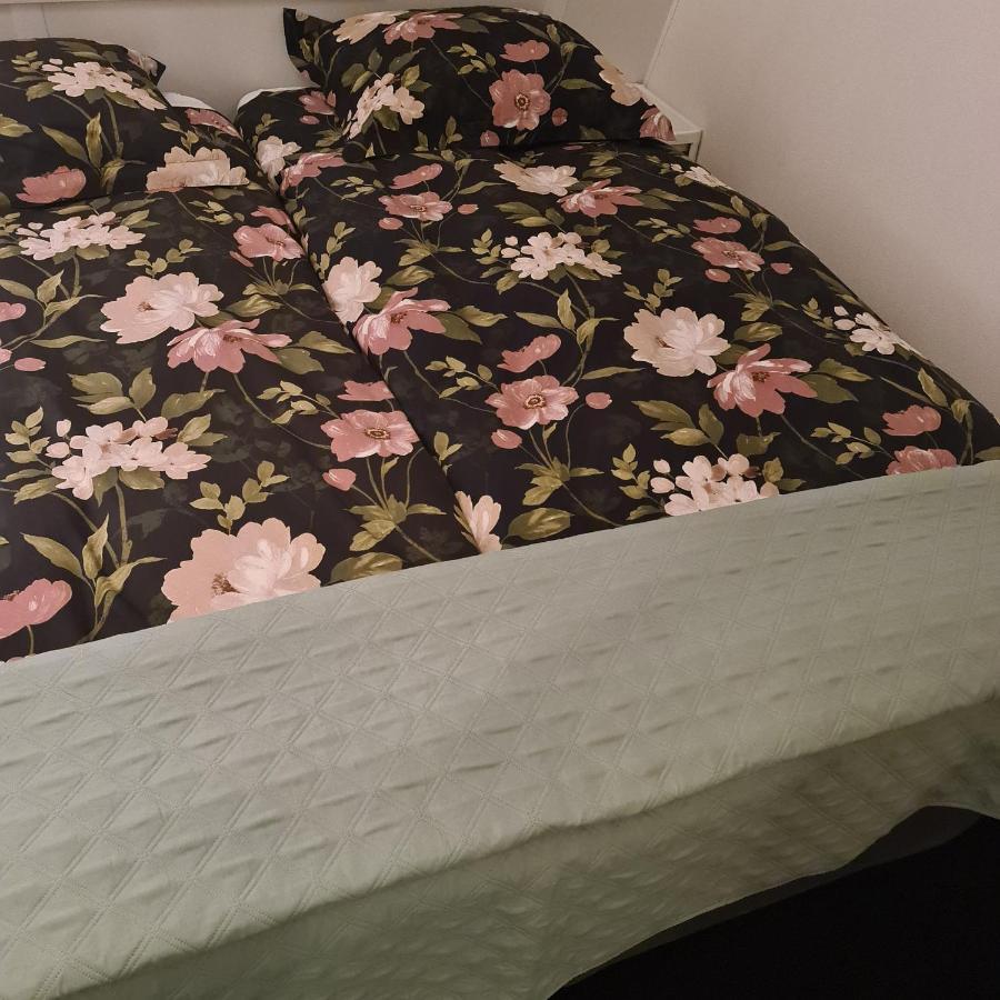 B&B Landlust Guesthouse بورميريند المظهر الخارجي الصورة